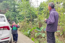 孙子就要回城，最舍不得的就是爷爷，离别一刻这样告别，太暖心视频封面