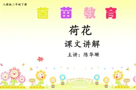 三年级下册语文3《荷花》课文讲解视频封面