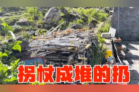 西藏亚东神奇的康布温泉，12处泉眼各不相同，拄拐杖去，扔拐杖走视频封面