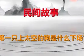 揭秘：第一只上太空的狗是什么下场？视频封面
