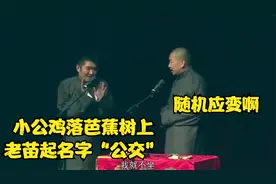 相声：小公鸡落芭蕉树上，老苗起名字“公交”，王声称赞随机应变