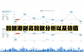 数据港财务数据分析，与公司运营模式结合进行分析。