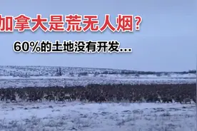 加拿大国土面积世界第二，为什么60%土地未开发？视频封面