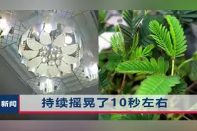 吉林凌晨发生4.3级地震，1个月前曾出现“含羞草预警”视频封面