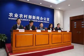 我国农村外出务工劳动力总量1.74亿人，月均收入达4190元视频封面