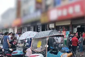 深刻检查!警告处分！河南一县4校违规暗示家长买书，省教育厅通报视频封面