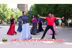 紫竹院广场舞《鸿雁》，小红和姜老师领舞，完美配合，精彩演绎！视频封面