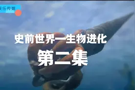 史前世界-生物进化史2视频封面