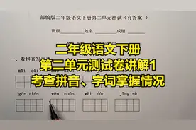 二年级语文下册：第二单元测试卷讲解1，考查拼音、字词掌握情况视频封面