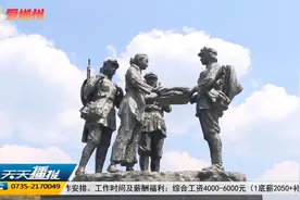 清明假期迎“补偿式返乡” 探亲、旅游成出行首选视频封面