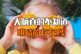 大脑真的不知道眼睛的存在吗？视频封面