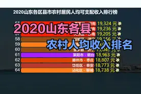 2020山东各县农村人均收入排名，曹县意外垫底，第一名不在济南视频封面