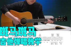 《斑马斑马》吉他谱吉他弹唱教学G调标准版 高音教视频封面