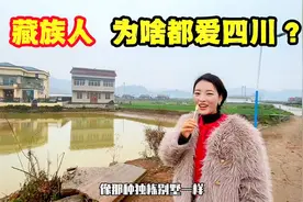 在四川定居有多好？西藏姑娘卓玛在城市和农村，找到了家庭的温暖视频封面