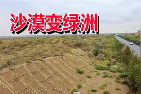 甘肃6位老人承包7万亩沙漠，经过3代人的治理，如今已绿意盎然视频封面