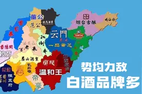 山东白酒曾辉煌无比，现在为何很难再出名酒？背后的3点深层原因视频封面