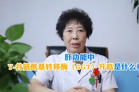 Y-谷氨酰基转移酶（GGT）升高是什么意思视频封面