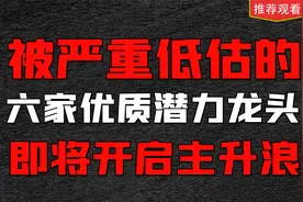 被严重低估的6家优质潜力龙头，即将开启主升浪，值得收藏研究