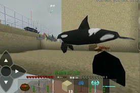 菜鸟解说生存战争第967期 抓虎鲸啦！