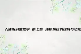 人体解剖生理学 第七章 泌尿系统的组成与功能【转载】