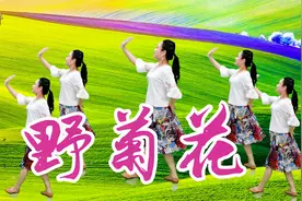 温情轻松广场舞《野菊花》花海无限，有你陪伴！
