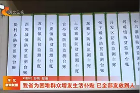 河北省为困难群众增发生活补贴 已全部发放到人视频封面