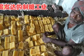 纯天然的印度制糖工业，发达程度让人绝绝子。成品全部卖给了孩子视频封面