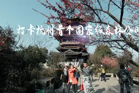 打卡杭州首个国家级森林公园，绿化覆盖率90%,被誉为“都市森林”视频封面