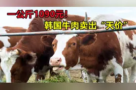 1公斤1090元！韩国牛肉卖出天价，为啥他们还不肯从外国进口？