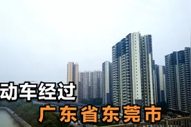 深圳至广州的动车经过东莞市，窗外景象这样的，不愧是新一线城市视频封面