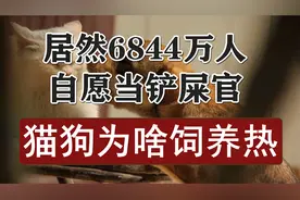 居然有6800万人在养猫狗！当中有你么？猫狗为啥如此得宠？