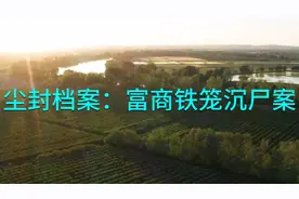 尘封档案：富商铁笼沉尸案视频封面