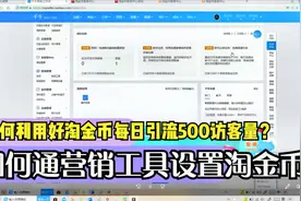 淘宝店铺如何设置淘金币？引流增加1w+访客，新手小白一定要看.