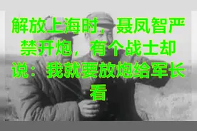 解放上海时，聂凤智严禁开炮，有个战士却说：我就要放炮给军长看视频封面