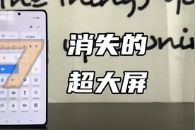 消失的超大屏手机 !  无奈，也是可惜视频封面