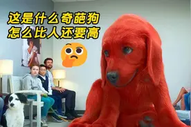 女孩捡到一只流浪狗，在家养了一夜后，第二天长得比人还高！奇幻视频封面