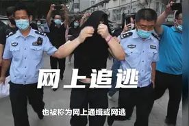 什么是网上追逃？会通知本人吗？视频封面