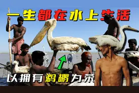 巴基斯坦莫阿纳人，一生都生活在水上，以拥有鹈鹕为荣视频封面