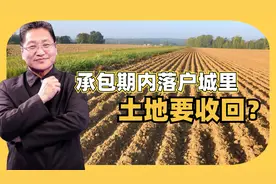 承包期内落户城里，土地要收回？朱启臻：稳定土地权益，别折腾视频封面
