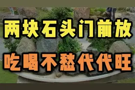 两块石头门前放，吃喝不愁代代旺，你家门口有吗_视频封面