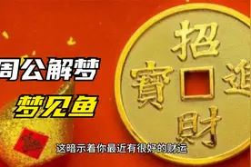 周公解梦 梦见鱼视频封面