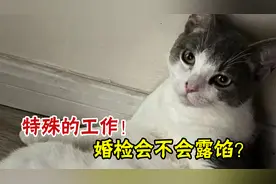 “特殊”工作在婚检时会不会被查出来呢？医生会告密吗？视频封面