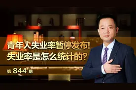 青年人失业率暂停发布！失业率是怎么统计的？视频封面