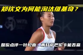 郑钦文为何能淘汰维基奇？詹俊点评一针见血，再打萨巴伦卡能否赢视频封面