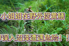 小姐姐独自在荒野捉黄鳝，却因此掉进沼泽遭遇危险！惊险瞬间！！视频封面