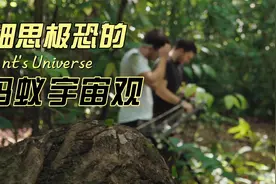 蚂蚁无法辨识更高智慧的人类？如果蚂蚁有宇宙观，会是什么样的？视频封面