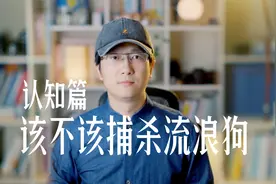 该不该捕杀流浪猫狗，如果你真热爱流浪猫狗，能不能把它养起来。视频封面