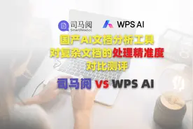 AI文档分析工具对复杂文档的处理精确度测评：司马阅 VS WPS AI视频封面