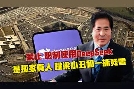 禁止、限制使用DeepSeek，是孤家寡人、跳梁小丑和一抹残雪视频封面
