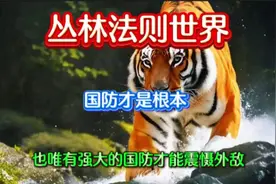 丛林法则世界 也唯有强大的国防才能震慑外敌视频封面